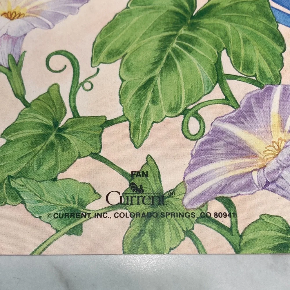 Current Fan Notecards Set of 2